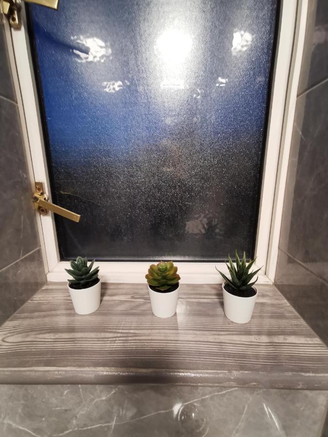 אדמונטון Palaz 2 - 2 Bedroom Flat מראה חיצוני תמונה